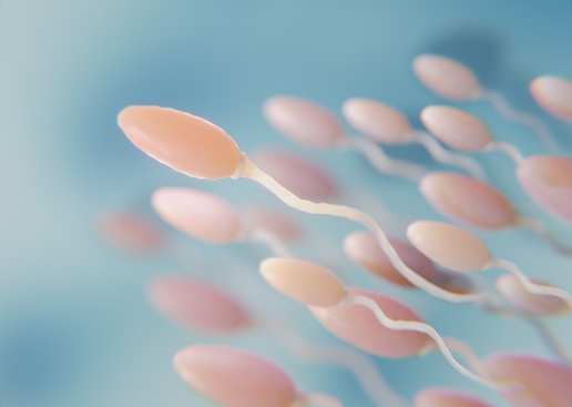 Low Sperm Count Low Sperm Count